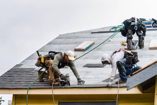 Professional Roof Installation technician working in Mumford, NY